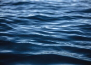 Atšaukiama ekstremali situacija dėl ekologinės katastrofos