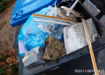 Atliekų tvarkymo pažeidimai Igliaukoje