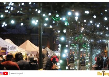 Atrinktas mugės „Kalėdinės eglutės įžiebimas 2023“ organizatorius