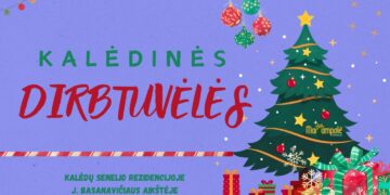 Edukacijos Kalėdų senelio rezidencijoje