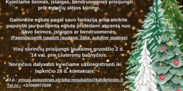 Kalėdinė eglučių alėja Kalvarijoje