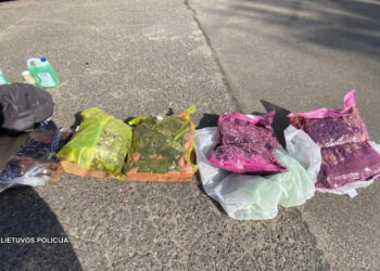 Marijampolės kriminalistai sulaikė labai didelio kiekio narkotikų bei pinigų kontrabandą