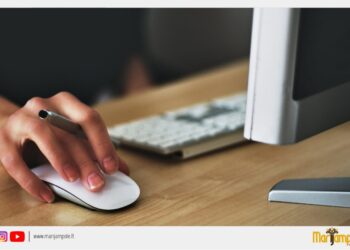 Nuotolinis pristatymas