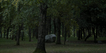 „Ožkabalių ąžuolynas"