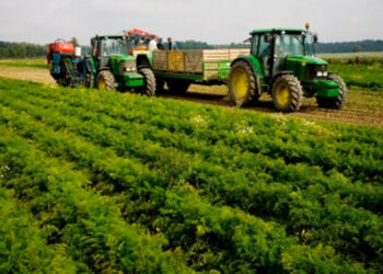 Europos Komisija pritarė pirmajam Lietuvos žemės ūkio ir kaimo plėtros strateginio plano pakeitimui