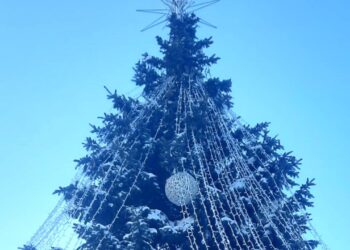 Vilkaviškio Kalėdų eglė 2022 metais