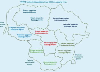 VMVT vykdomi pokyčiai