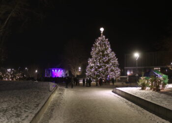 Centrinėje Kalvarijos aikštėje suspindo Kalėdų eglė