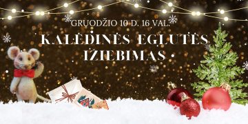 Kalėdinės eglutės įžiebimas Kalvarijoje