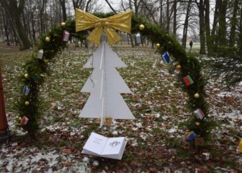 Kalėdinių eglučių alėja Vilkaviškyje