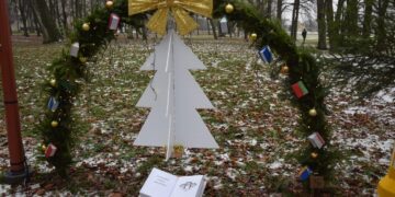 Kalėdinių eglučių alėja Vilkaviškyje