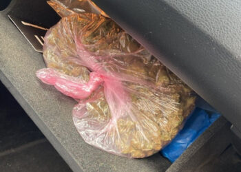 Marijampolės kriminalistai sėkmingai užkirto kelią narkotikų tiekimui į Marijampolės apskritį