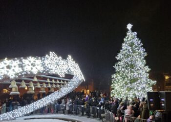 Šakiuose įžiebta miesto Kalėdų eglė