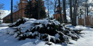 Tomo Pratašiaus fotografijos darbų paroda