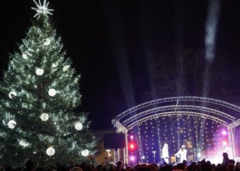 Vilkaviškio miesto eglė