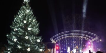 Vilkaviškio miesto eglė