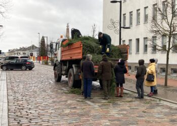 VMU akcija „Parsinešk Kalėdas į savo namus“