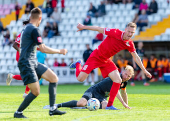 Suformuota puolėjų grandis