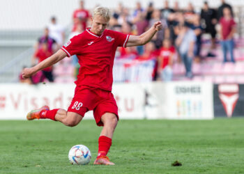 Dariušas Stankevičius