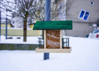 Įrengtos lesyklėlės mūsų sparnuotiesiems draugams