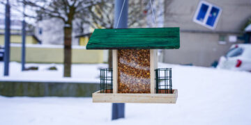 Įrengtos lesyklėlės mūsų sparnuotiesiems draugams