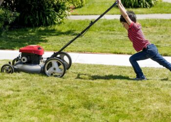 Vaikams pritaikyta sodo technika: vaikų supažindinimas su sodininkyste