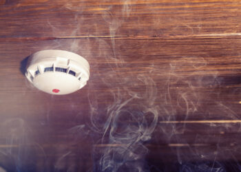 Smalkės gali būti mirtinai pavojingos