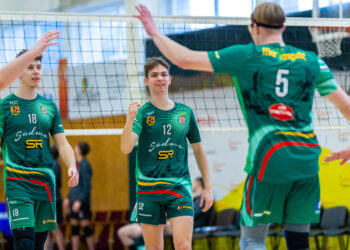 Tinklinio klubas „Sūduva“