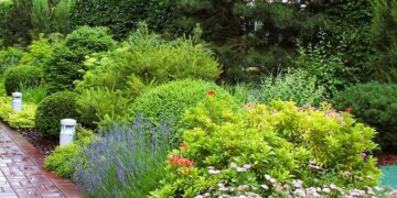 Kviečiama teikti prašymus dėl teritorijų apželdinimo