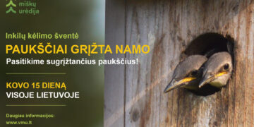 Paukščiai grįžta namo – sparnuotų giesmininkų sutiktuvės visoje Lietuvoje