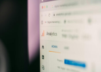 SEO auditas „SEONETA“