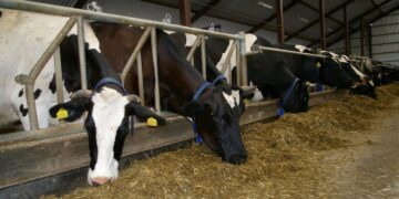 Ūkininkai netrukus galės kreiptis lengvatinių paskolų tvarioms investicijoms