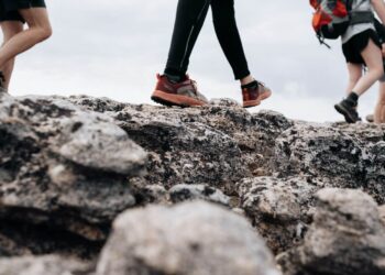 Kalnų batai Decathlon