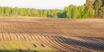 Žemės ūkis