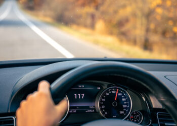 Automobilio skydelis