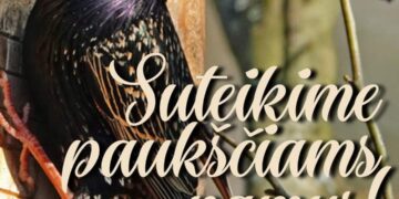 Gerumo akcija „Suteikime paukščiams namus“