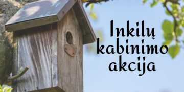 Inkilų kabinimo akcija
