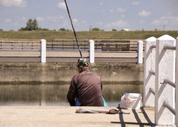 Dainuojančių dubenų pradžiamokslis – ką svarbu žinoti prieš pradedant