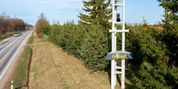 Balandžio 1-osios pokštas gali tapti realybe – katės kviestų atvykstančius į Marijampolę