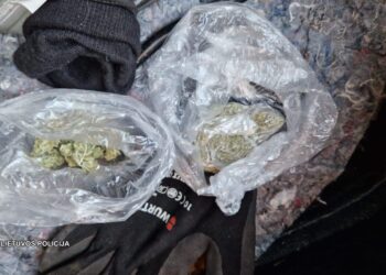 Marijampolės kriminalistai mėnesio laikotarpyje užkardė trijų narkotikų platintojų veiklą