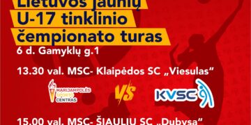 Lietuvos jaunių U-17 tinklinio čempionato turas