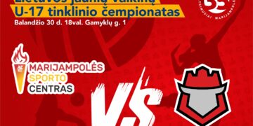 Lietuvos jaunių vaikinų U17 tinklinio čempionatas