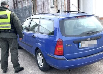 Moldovos pilietis, internete įsigijęs padirbtą vairuotojo pažymėjimą, po Europą kol kas nekeliaus