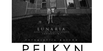 Susitikimas su parodos autore Augustina Miknevičiūte – Lunaria