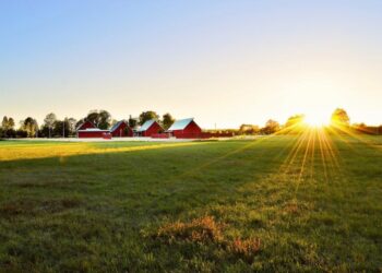 Žemės ūkio naudmenų ir kitų plotų deklaravimas prasidės gegužės 2 d.