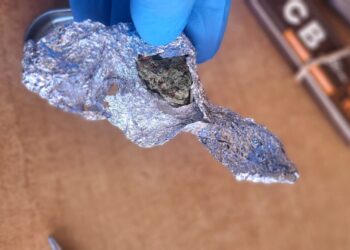 Pasieniečiams įkliuvo beveik porą metų privalomosios karo tarnybos vengęs trakiškis, vežęsis kvaišalų