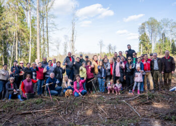 Varnabūdės miške – tradicinis medelių sodinimas