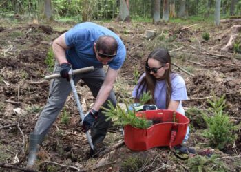 Vilkaviškiečiai prisijungė prie nacionalinio miškasodžio „Kad giria žaliuotų“