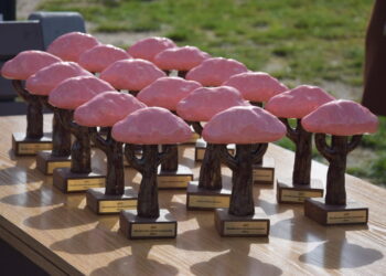 Vilkaviškyje pristatyta sakurų alėja