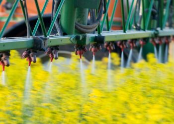 Žemės ūkio ministerija patikslino augalų apsaugos produktų naudojimo reikalavimus purškiant žydinčius augalus